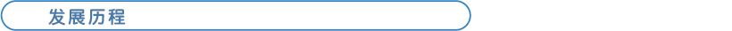 发展历程